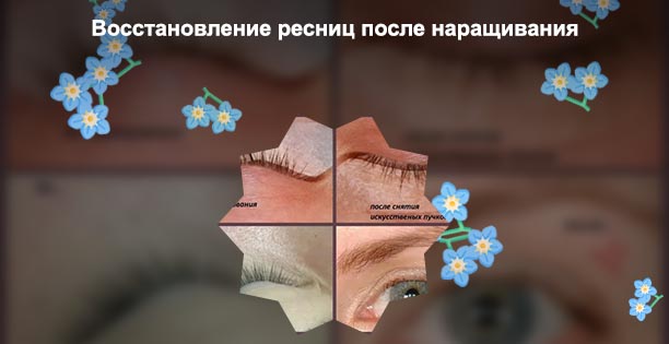 Восстановление ресниц после наращивания форум